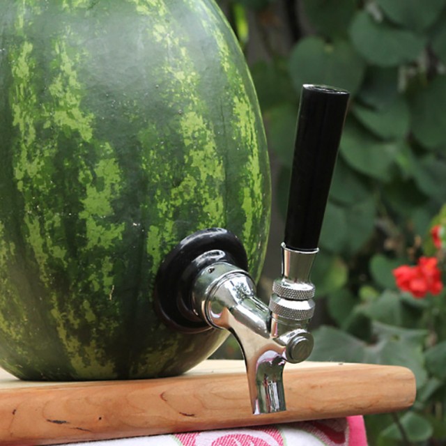watermelon-tap-kit-xl